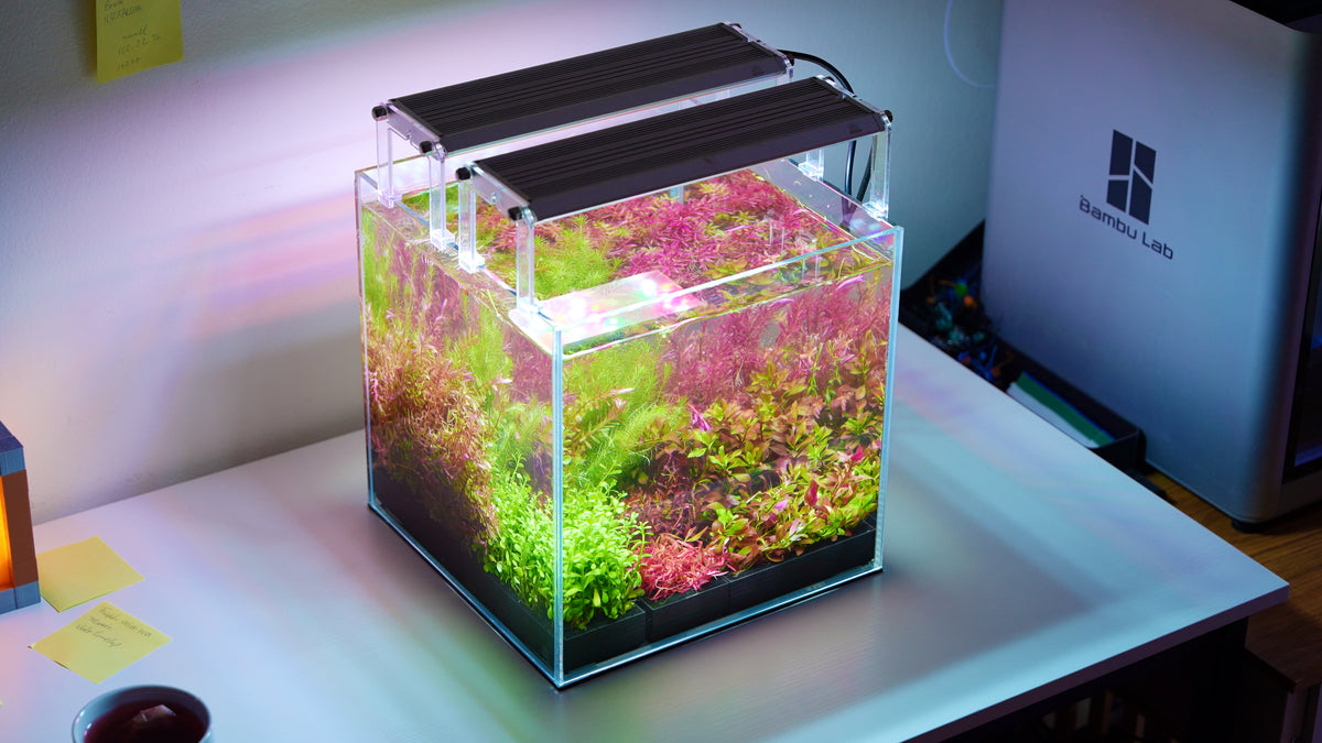 A densely planted aquarium on a lit rack in the One Fish Tank fish room