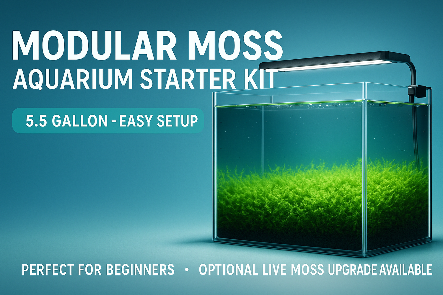 Modular Moss Aquarium Starter Kit promotional banner