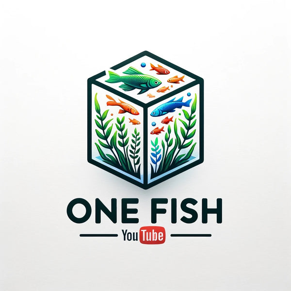 One Fish TV