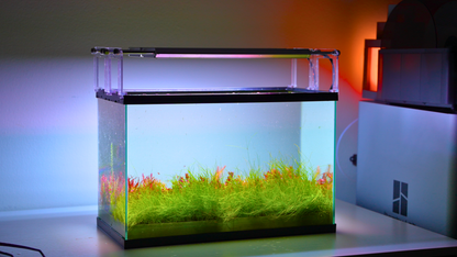 MODULAR PLANTED FLOOR™ - Starter Planting Module (Imagitarium 5.5 gal)