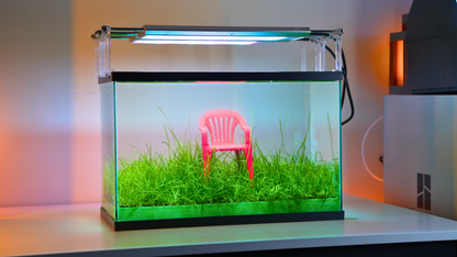 MODULAR PLANTED FLOOR™ - Starter Planting Module (Imagitarium 5.5 gal)