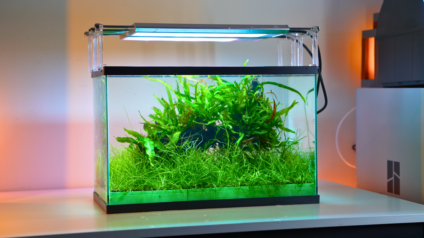 MODULAR PLANTED FLOOR™ - Starter Planting Module (Imagitarium 5.5 gal)