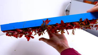 MODULAR PLANTED FLOOR™ - Starter Planting Module (Imagitarium 5.5 gal)