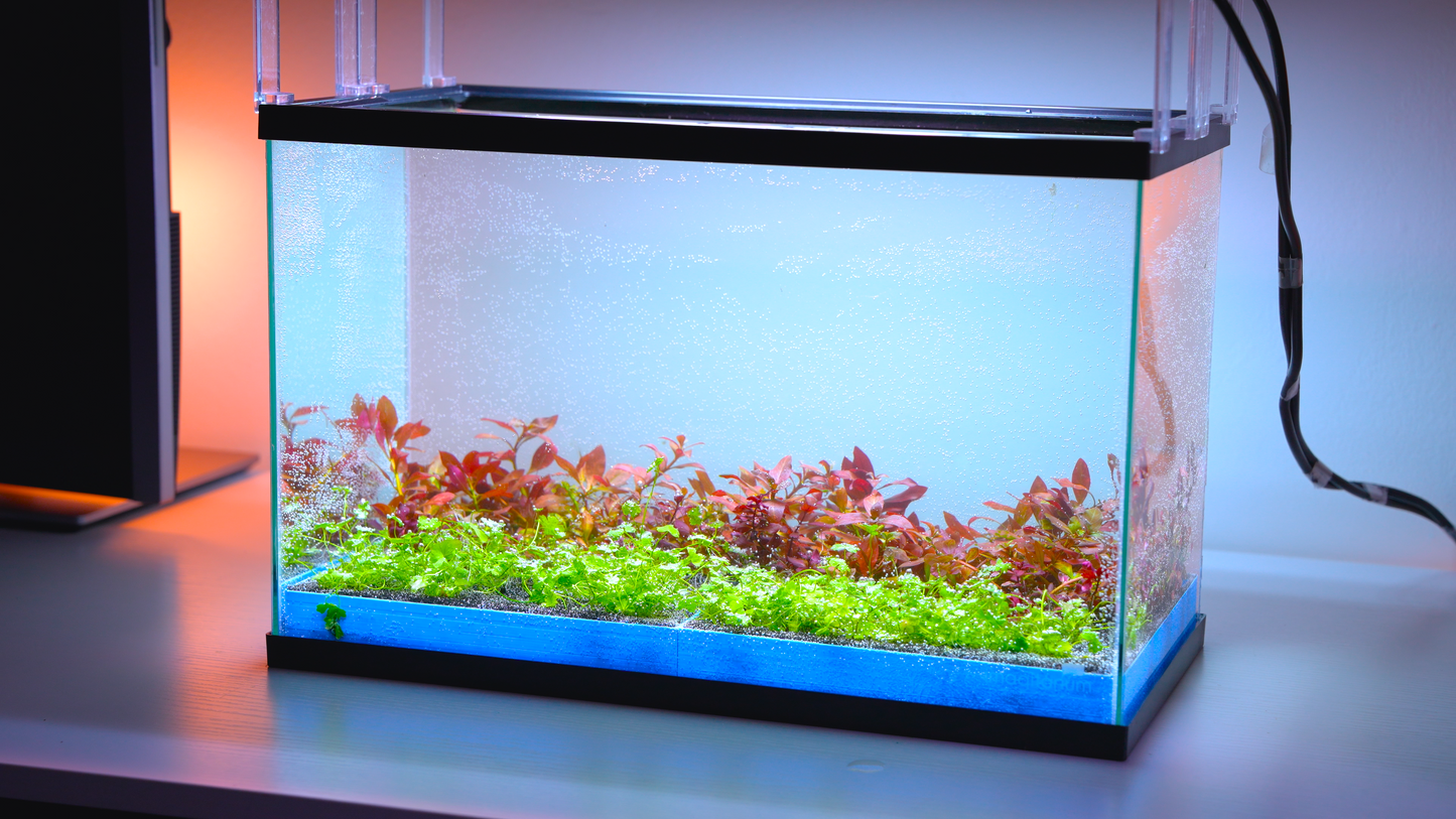 MODULAR PLANTED FLOOR™ - Starter Planting Module (Imagitarium 5.5 gal)