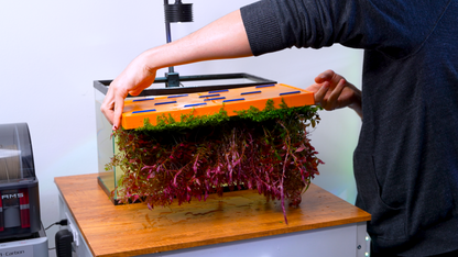 MODULAR PLANTED FLOOR™ - Starter Planting Module (Imagitarium 5.5 gal)