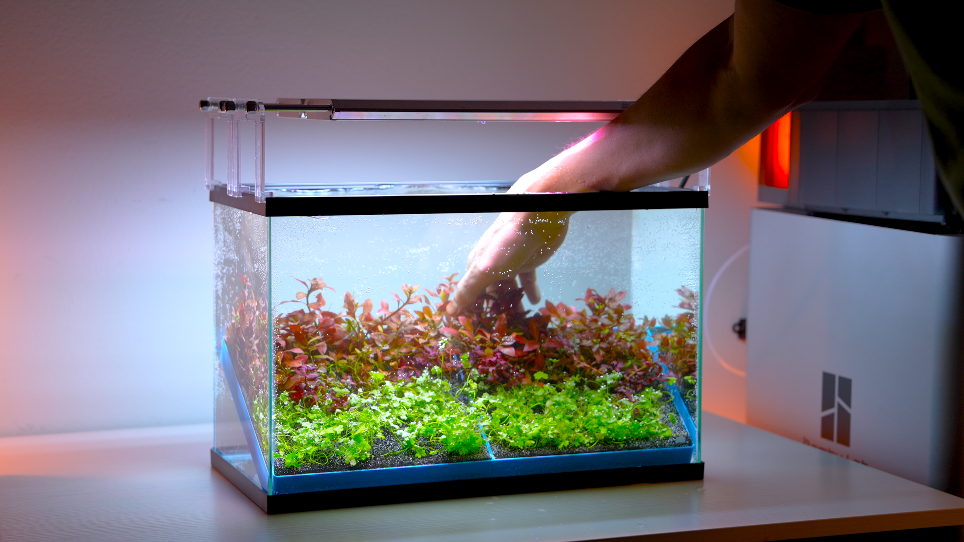 fish tank light grow plants MODULAR PLANTED FLOOR™
