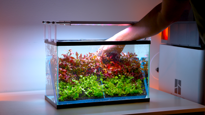 MODULAR PLANTED FLOOR™ - Starter Planting Module (Imagitarium 5.5 gal)