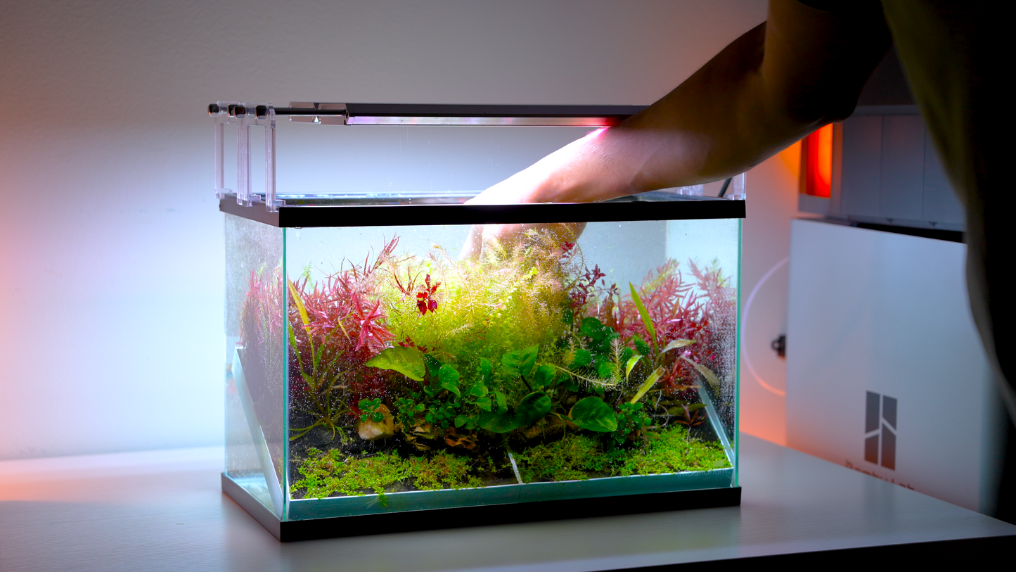 MODULAR PLANTED FLOOR™ - Starter Planting Module (Imagitarium 5.5 gal)