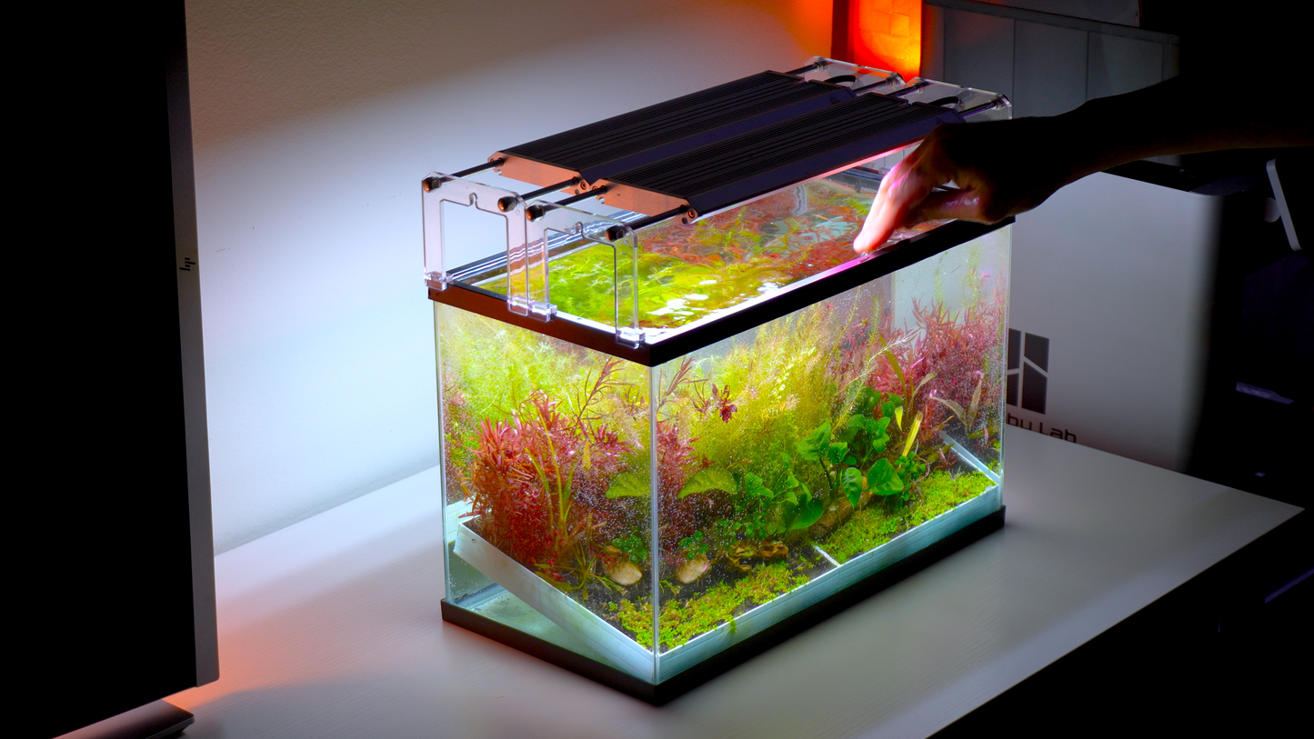 MODULAR PLANTED FLOOR™ - Starter Planting Module (Imagitarium 5.5 gal)