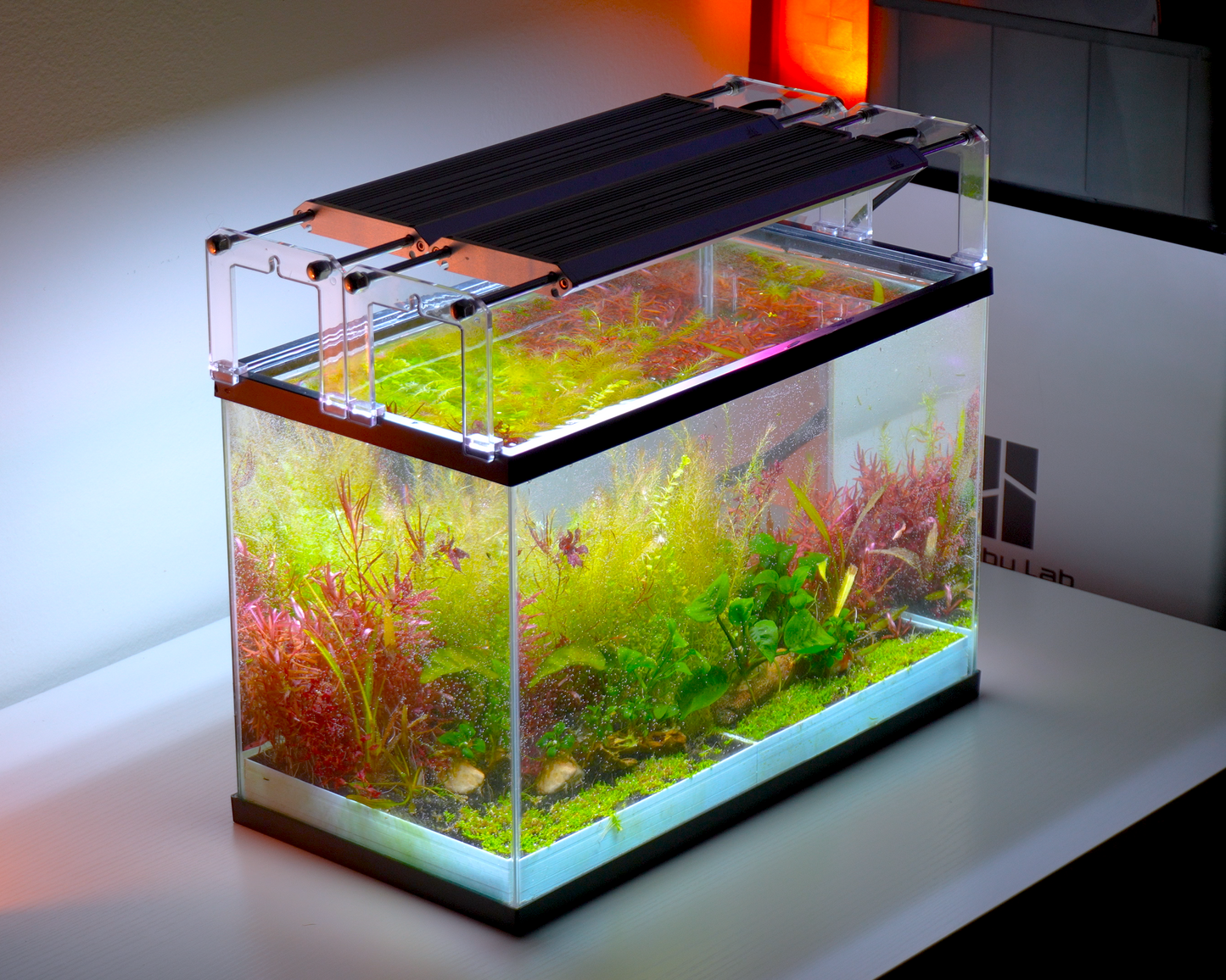 MODULAR PLANTED FLOOR™ - Starter Planting Module (Imagitarium 5.5 gal)