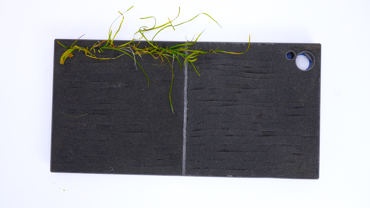 MODULAR PLANTED FLOOR™ - Starter Planting Module (Imagitarium 5.5 gal)