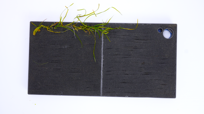 MODULAR PLANTED FLOOR™ - Starter Planting Module (Imagitarium 5.5 gal)