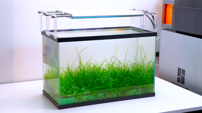 MODULAR PLANTED FLOOR™ - Starter Planting Module (Imagitarium 5.5 gal)