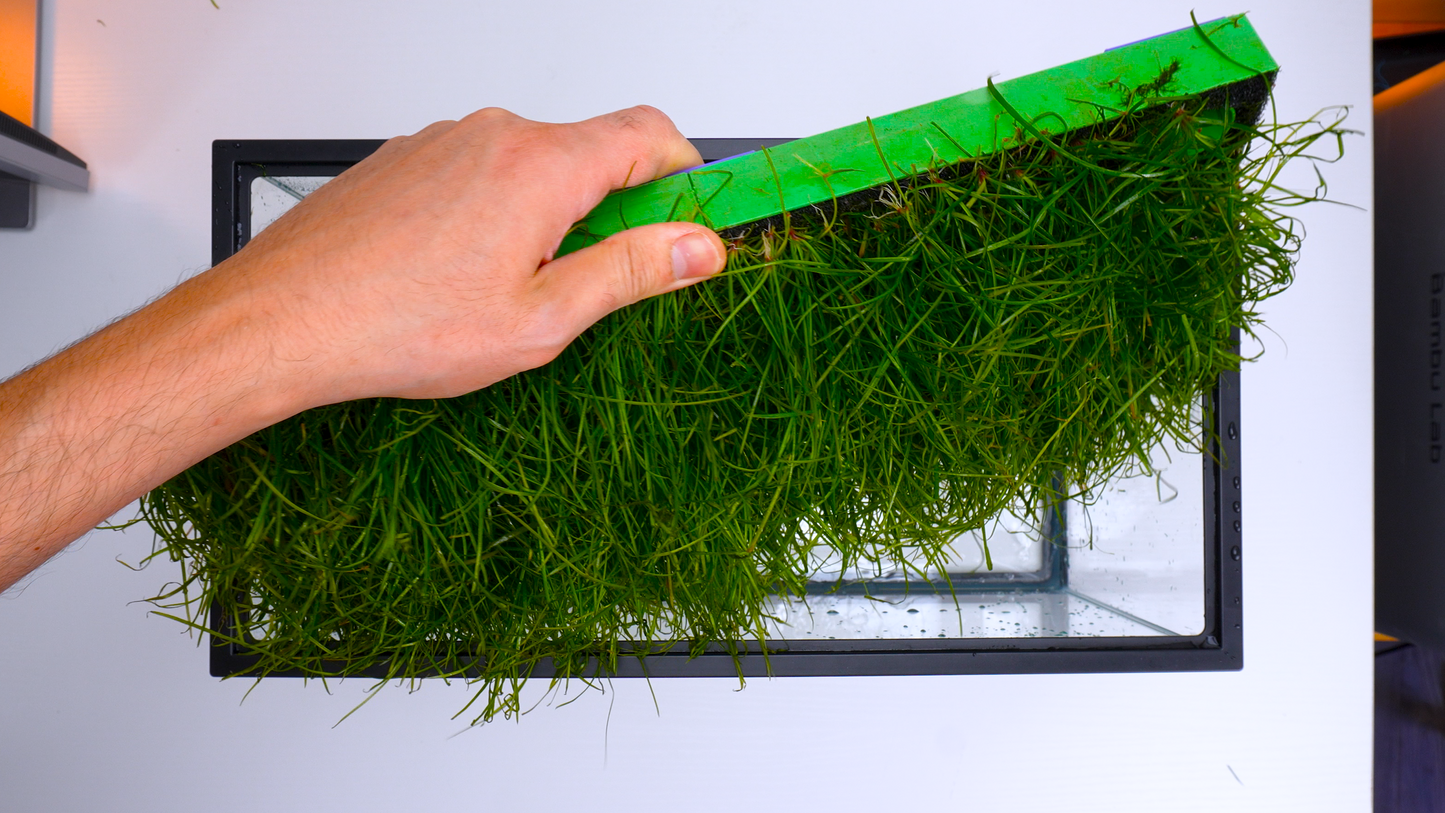 MODULAR PLANTED FLOOR™ - Starter Planting Module (Imagitarium 5.5 gal)