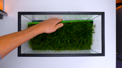 MODULAR PLANTED FLOOR™ - Starter Planting Module (Imagitarium 5.5 gal)