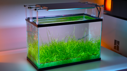 MODULAR PLANTED FLOOR™ - Starter Planting Module (Imagitarium 5.5 gal)